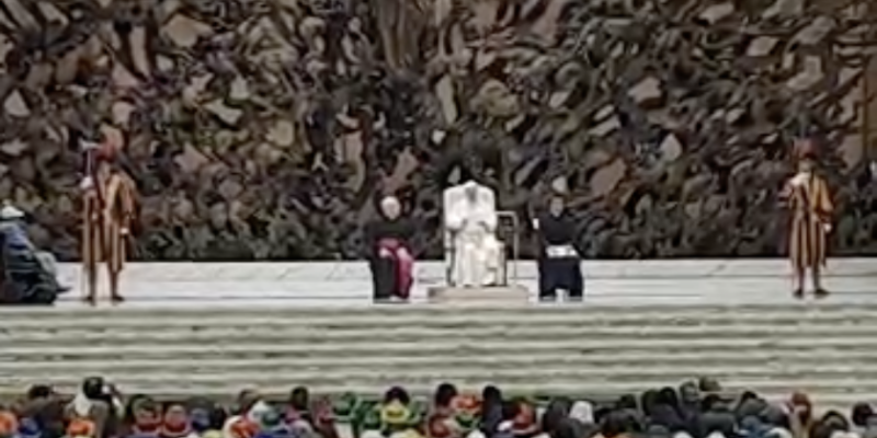 audiencia papa